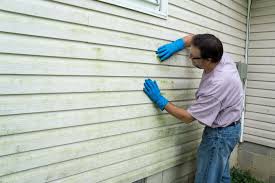 Best Custom Trim and Detailing for Siding  in Bridgeport, TX